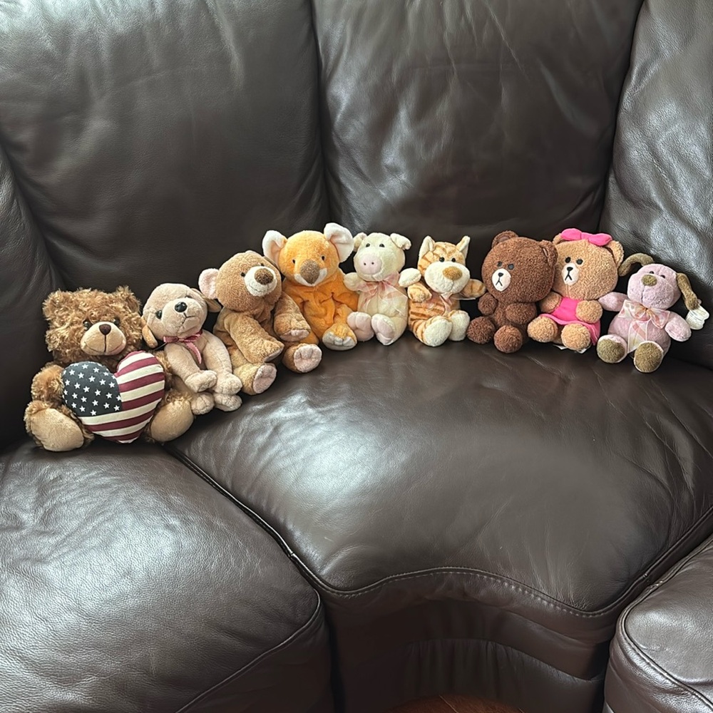 Gently used stuffed animals.